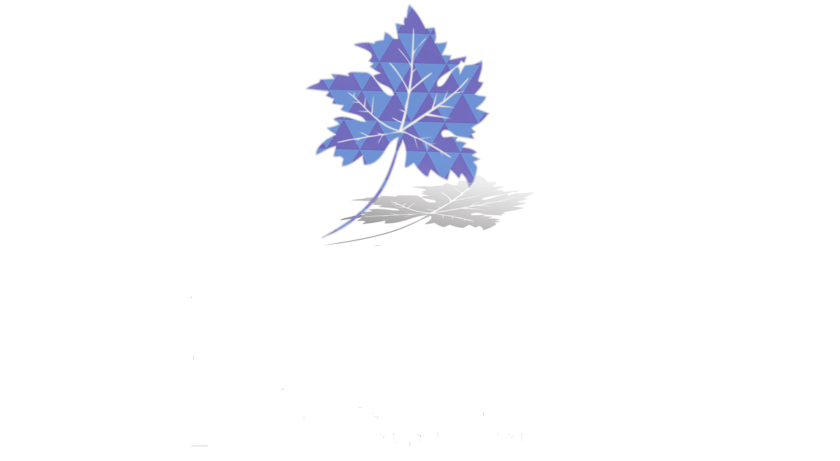 Coperametista